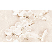 CERSANIT SOFI INSERTO FLOWER 25X40