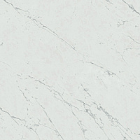 ATLAS CONCORDE MARVEL STONE CARRARA PURE 60X60 LAPPATO AZRL
